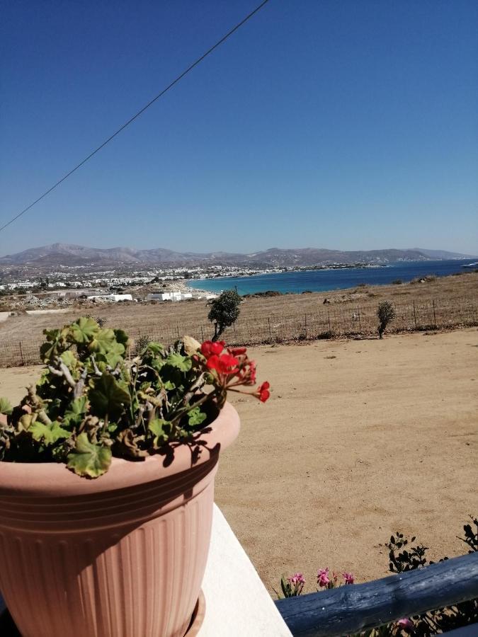 Lofos Studios Agios Prokopios  Esterno foto